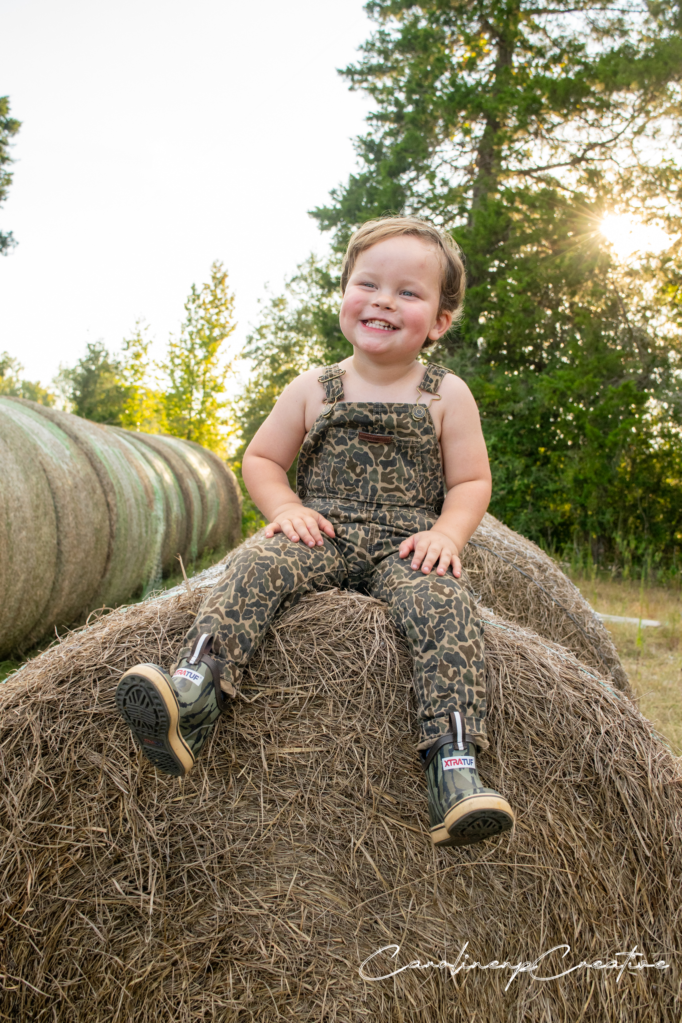 brigs haybale wm